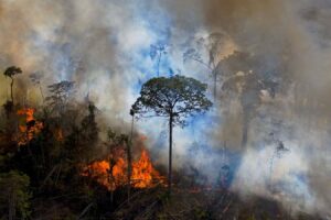 Susza, pożary i paliwa kopalne podnoszą emisje CO2 do rekordowego poziomu